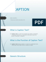 Caption Text Functions and Types