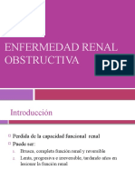 Enfermedad Obstructiva Renal