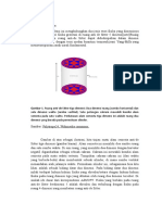 Teori holografis dan korespondensi AdS/CFT