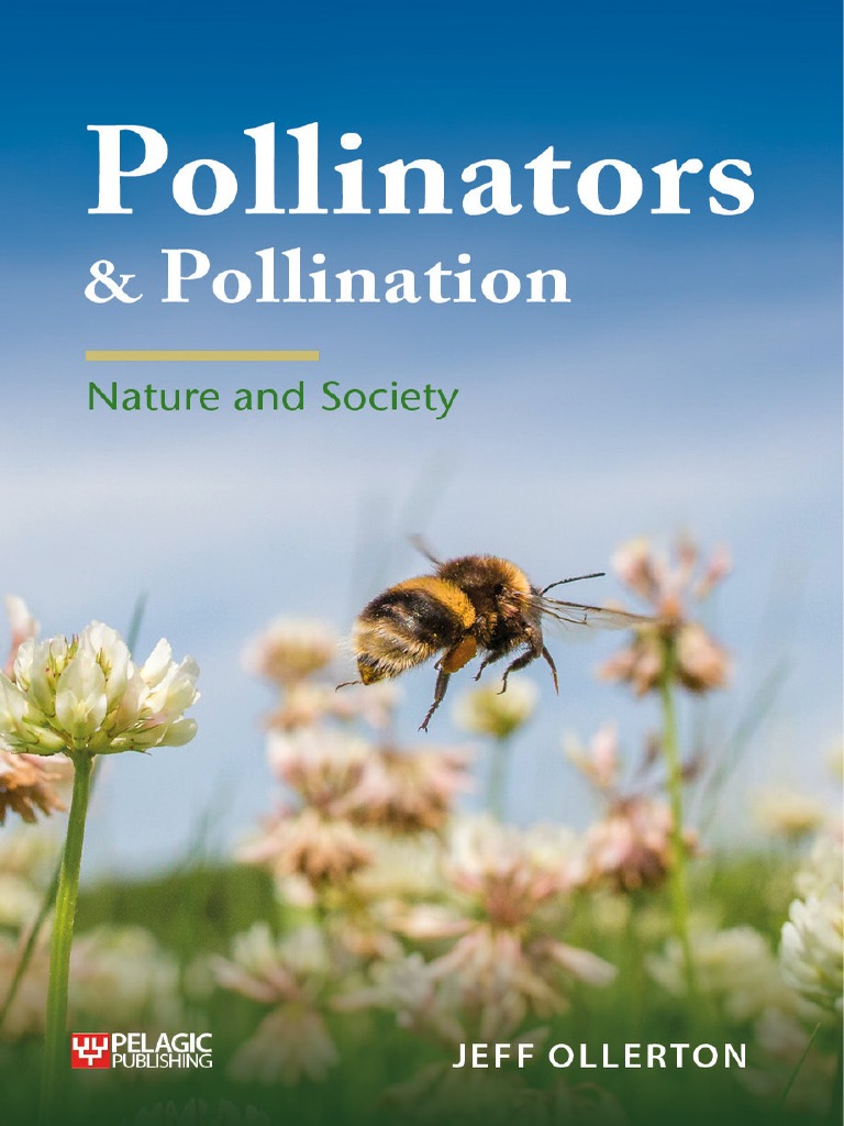 Diversity of Pollinators Explored | PDF | Pollinators | Bees