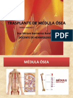 9.1.transplante de Médula Ósea