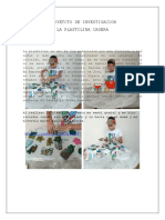 Proyetcto de Investigacion