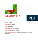 MARIPOSA