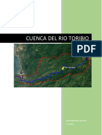 Informe Cuenca Río Toribio