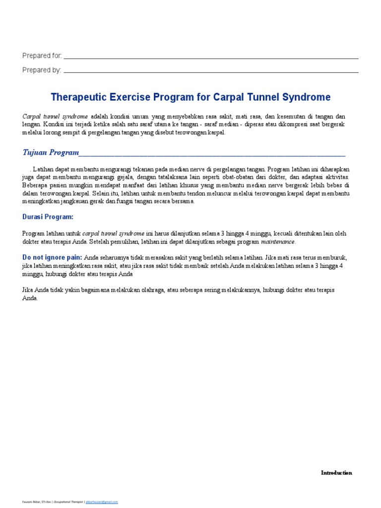 Program Latihan CTS Terapi Efektif | PDF | Kesehatan Holistik