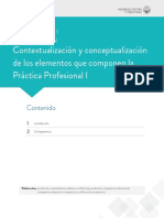 LEC 1 Contextualización y conceptualización de los elementos que componen la Práctica Profesional I