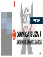 60577239 Informe Quimica Suiza 1