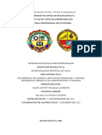 Informe de Practicas Preprofesionales