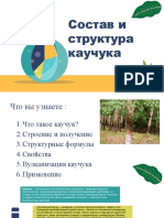 Презентация Про Каучук Н.Н.Н