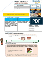 Ficha de Trabajo Ciencia y Tecnologia