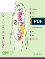 CNM A3 Facial Reflex Zones Poster