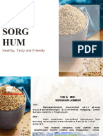 Sorghum Lombok