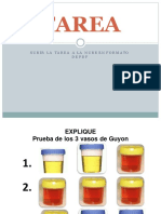 Prueba de los 3 vasos de Guyon: hematuria total, inicial o terminal