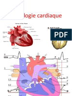 Physiologie cardiaque