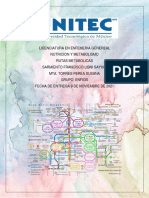 Rutas Metabolicas