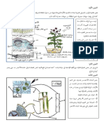 4نصوص+علمية+ التركيب+الضوئي