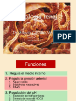 Clase 18 - Anatomía, Características Del FG y Flujo Sanguíneo Renal