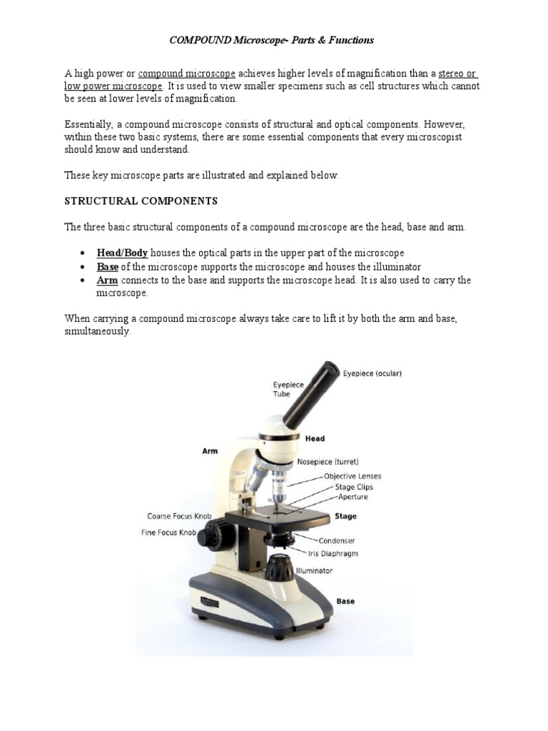 Compound Microscope Functions - Micropedia