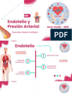 14. Endotelio y Presión Arterial