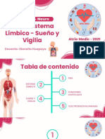 SNA - Sistema Límbico - Sueño y Vigilia