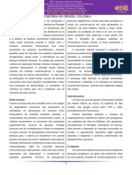 Economia No Brasil Colônia