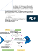 Diagrama Causa Efecto