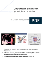 Fertilitation, Implantation-Placentation, Organogenesis, Fetal Circulation