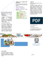 La Importancia de La Alimentacion - Triptico