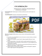 Resumo - CICATRIZAÇÃO