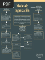 Organizador visual de seres vivos | PDF