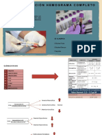 B2P5 - Hemograma Completo