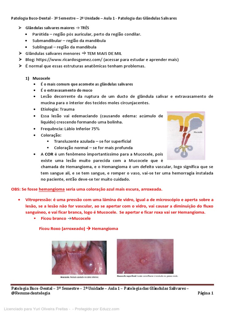 Mandíbula (Mónica Ojeda) | PDF | Tempo | Mente, image size:768x1024