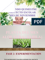 Diapositiva .Fase de Experimentacion 2 de Mascarilla Casera de Aloe Vera 2021