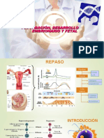 Fecundacion Desarrollo Embrionario y Fetal