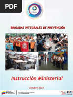 Brigadas Escolares de Prevención y Paz | PDF | Institución | Primeros ...
