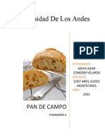 Pan de Campo