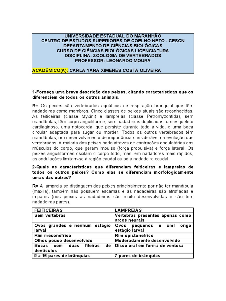 Características morfológicas e comportamentais de feiticeiras ...