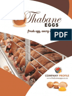 Company Profile Thabane Egg