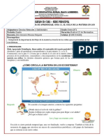 Guias 11 y 12 - Naturales, Grado 6