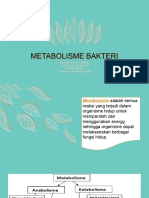 Kel B3 - Metabolisme Bakteri