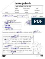 Carbmdioxidlsunlightglucosecarbmdiox - De: Oxygmsunlightan