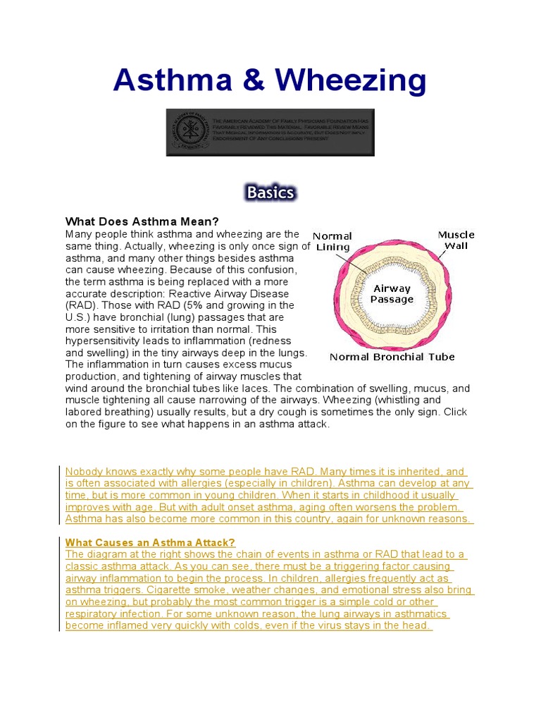 Asthma & Wheezing What Does Asthma Mean? PDF Asthma Cough