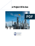 12 Fase Project Oil & Gas