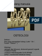 Osteologi I