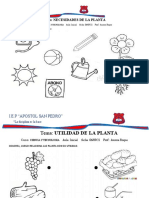 Utilidad de La Planta 3 - 4 Años