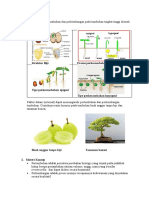 Materi Pertumbuhan Dan Perkemb.