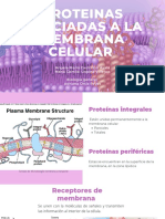 Proteinas Asociadas A La Membrana Celular-Rubrica 3