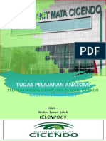 Tugas Glaukoma Fix