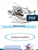 Manual Plasenta