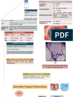 Queratitis Fúngica Filamentosa